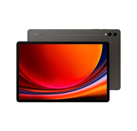 Samsung Galaxy Tab S9+ X810N 256GB Graphite 