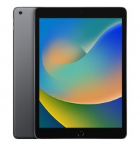 Apple iPad 10.2 9.Gen 64GB Grey 