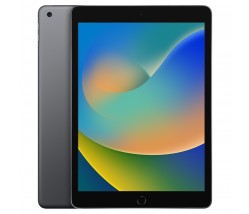 Apple iPad 10.2 9.Gen 64GB Grey 